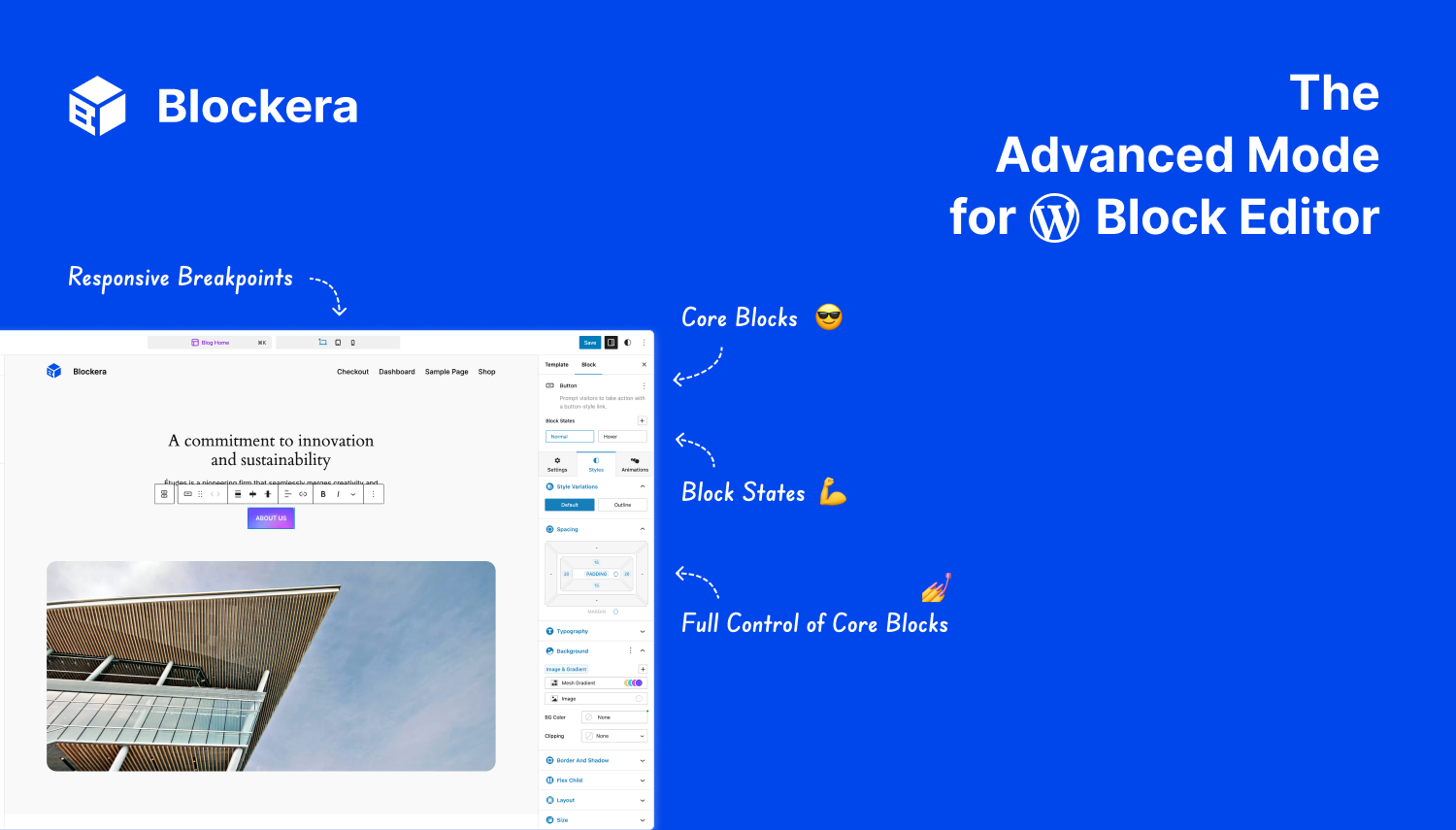Introducing Blockera: The Advanced Mode for WordPress Block Editor 🚀